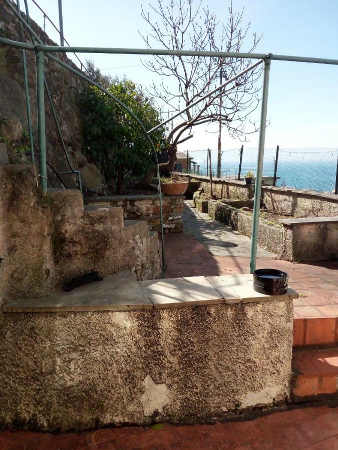 Appartement Casa Picasso à Gênes Extérieur photo